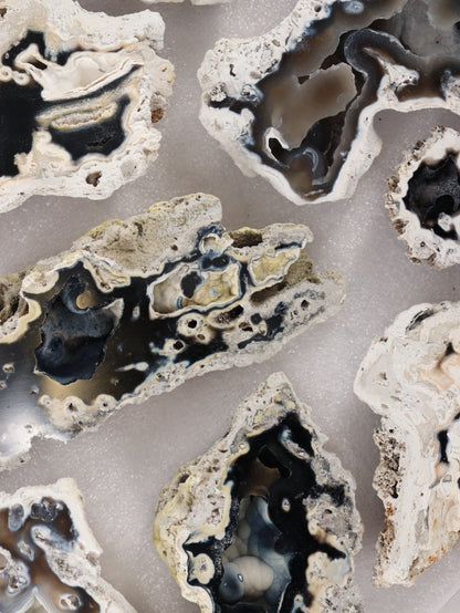 Agatized Coral Set of 12 - Expert Wholesale and Supplier of Wholesale Crystals & Bulk Gemstones, []
