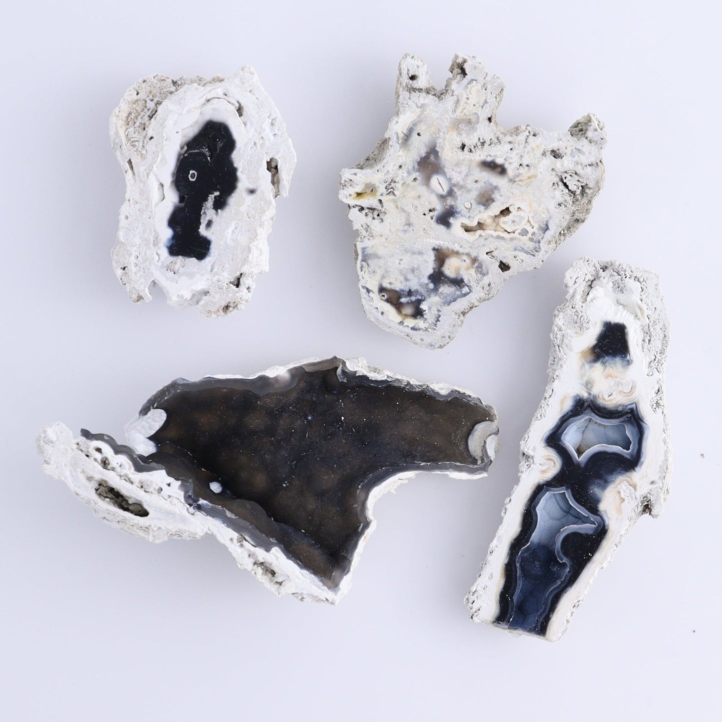Agatized Coral Flat - Expert Wholesale and Supplier of Wholesale Crystals & Bulk Gemstones, ["Agate","Agatized Coral","Coral","United States"]