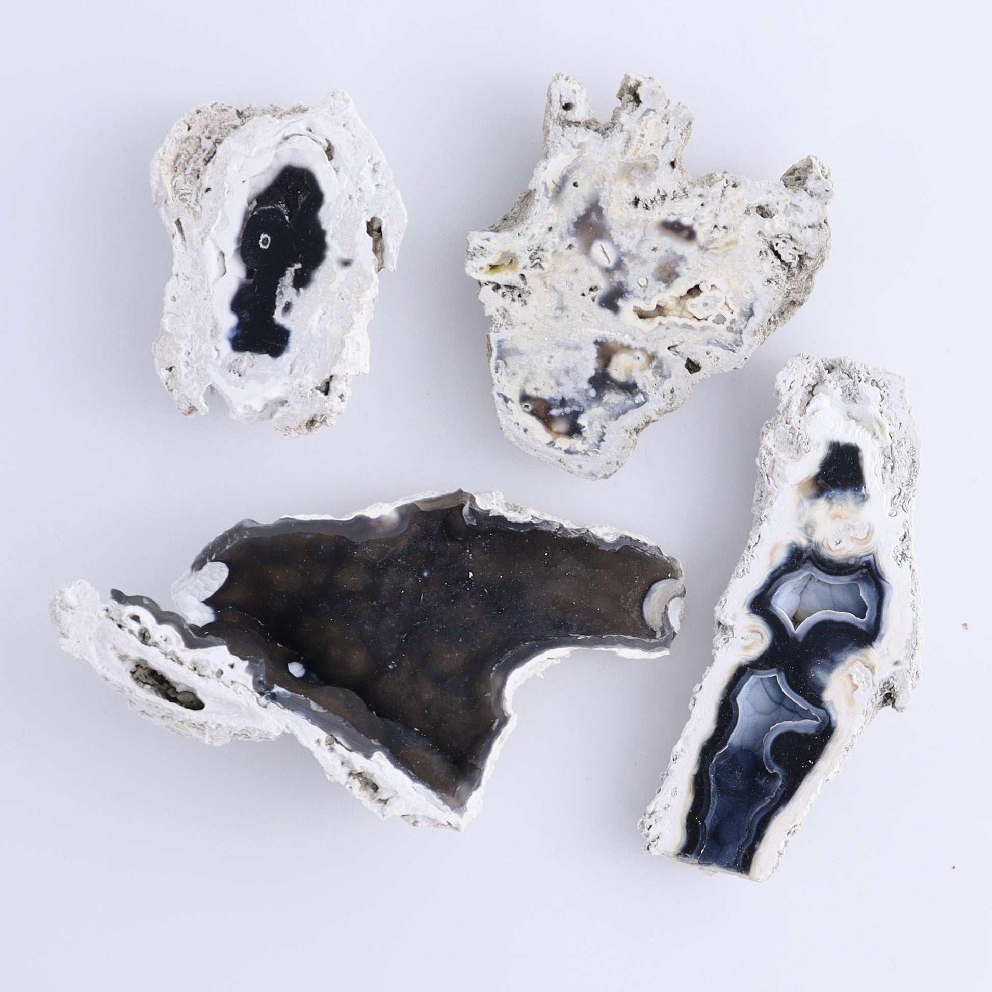 Agatized Coral Flat - Expert Wholesale and Supplier of Wholesale Crystals & Bulk Gemstones, ["Agate","Agatized Coral","Coral","United States"]
