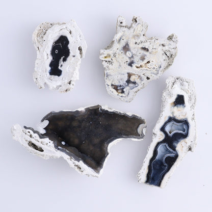 Agatized Coral Flat - Expert Wholesale and Supplier of Wholesale Crystals & Bulk Gemstones, ["Agate","Agatized Coral","Coral","United States"]
