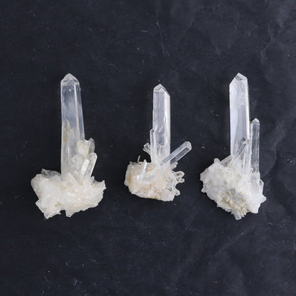 Lemurian Clusters from Columbia Set of 20