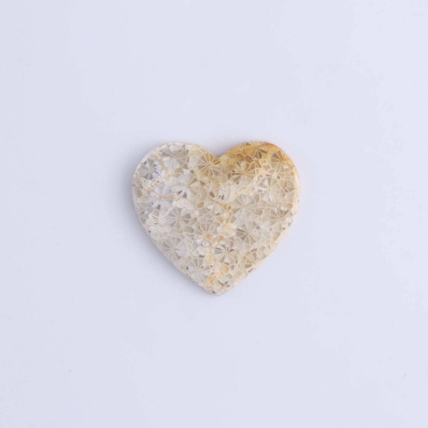 One Fossil Coral Heart Cab - Expert Wholesale and Supplier of Wholesale Crystals & Bulk Gemstones, ["Cabs","fossil coral","heart","Hearts"]
