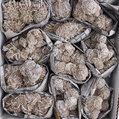 Desert Rose Set of 14 - Expert Wholesale and Supplier of Wholesale Crystals & Bulk Gemstones, ["Desert Rose","Freeforms","Morocco"]