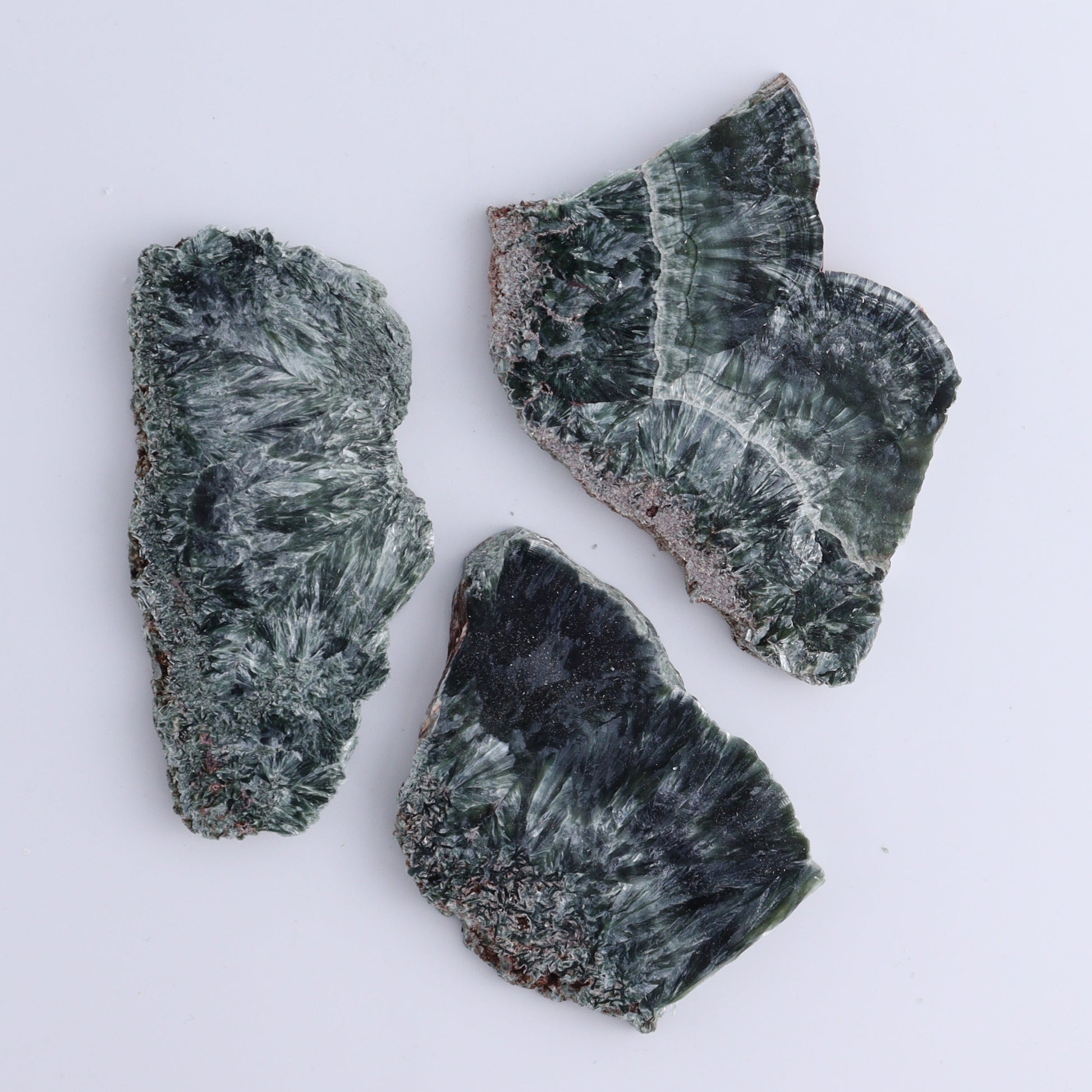 Seraphinite Slices Set of 12 - Expert Wholesale and Supplier of Wholesale Crystals & Bulk Gemstones, ["Seraphinite","Slices and Slabs"]