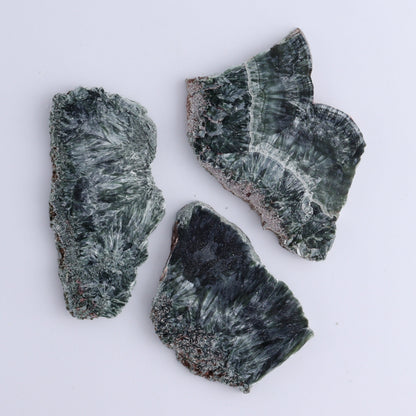 Seraphinite Slices Set of 12 - Expert Wholesale and Supplier of Wholesale Crystals & Bulk Gemstones, ["Seraphinite","Slices and Slabs"]