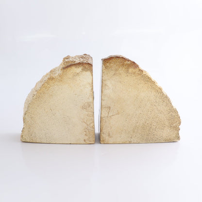 One Pair of Petrified Wood Rough Bookend