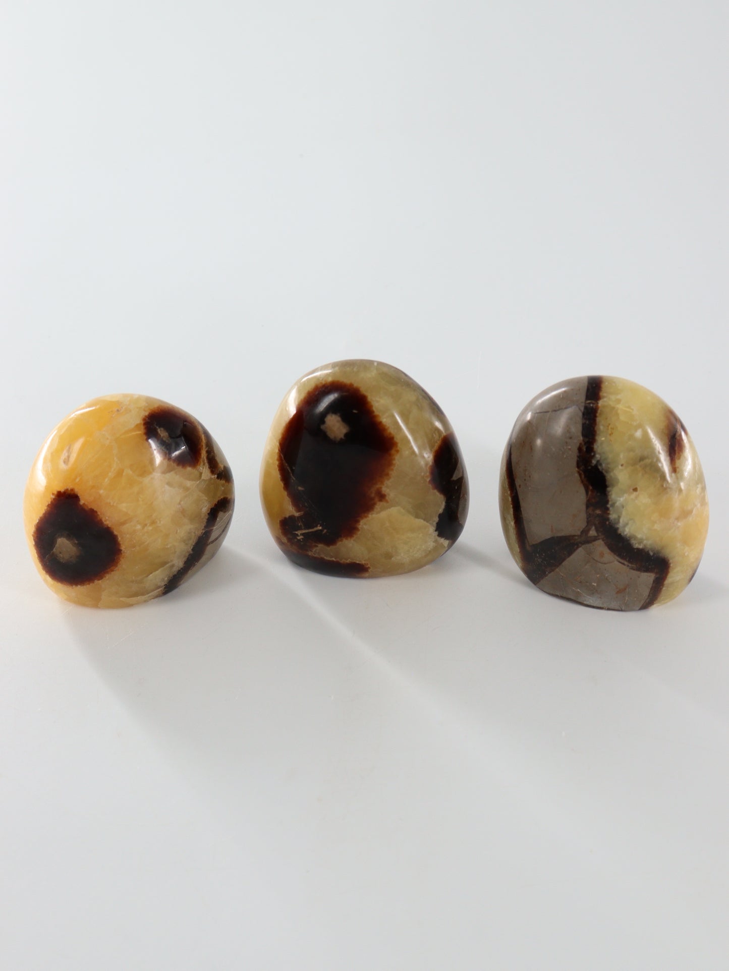 Sepatarian Freeforms Set of 12 - Expert Wholesale and Supplier of Wholesale Crystals & Bulk Gemstones, []