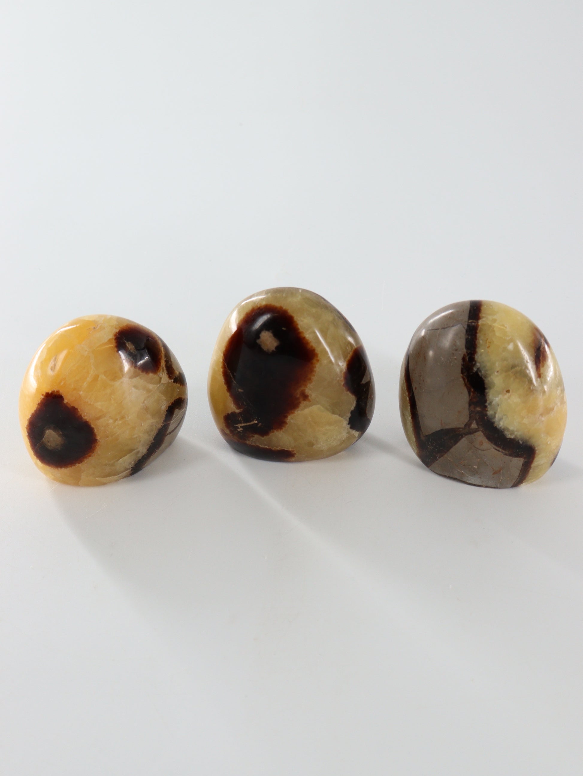 Sepatarian Freeforms Set of 12 - Expert Wholesale and Supplier of Wholesale Crystals & Bulk Gemstones, []