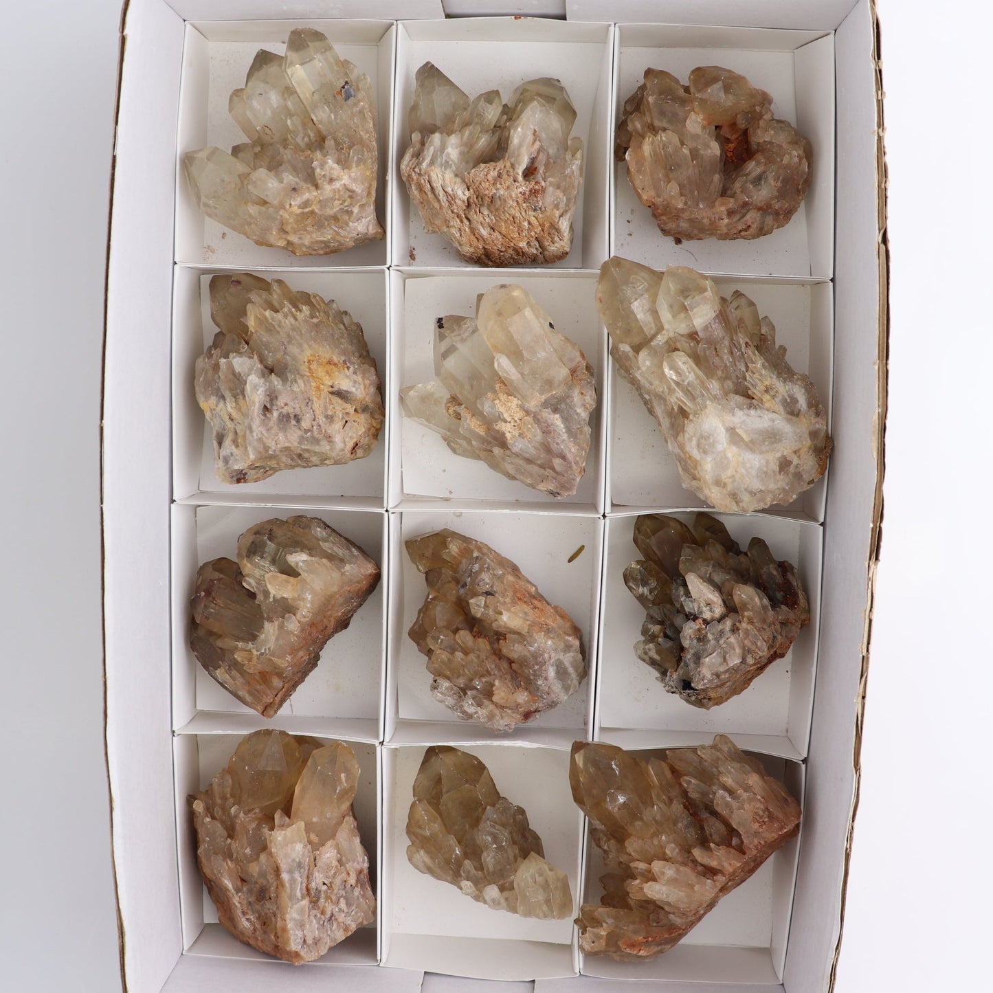 Congo Citrine Set of 12