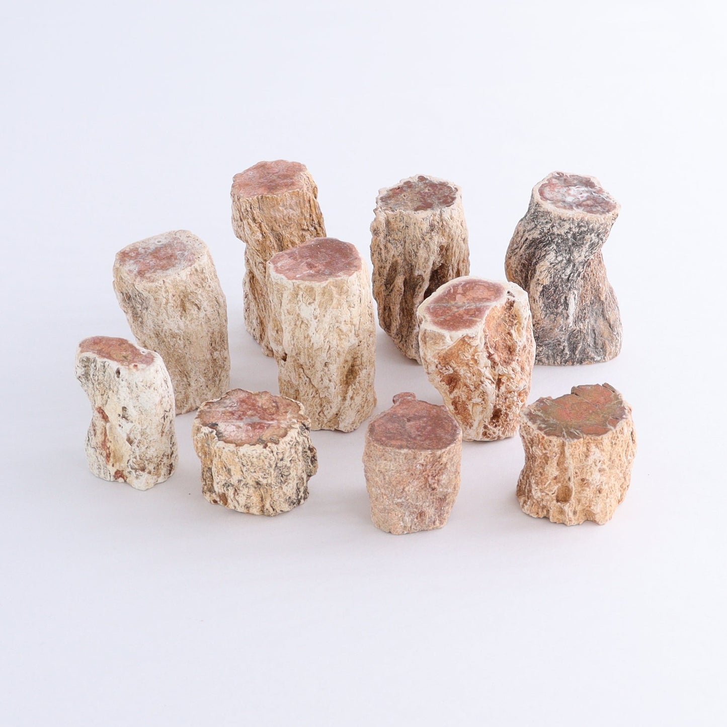 Petrified Wood Cut Bases Set of 10 - Expert Wholesale and Supplier of Wholesale Crystals & Bulk Gemstones, ["Cut Base","Petrified Wood"]