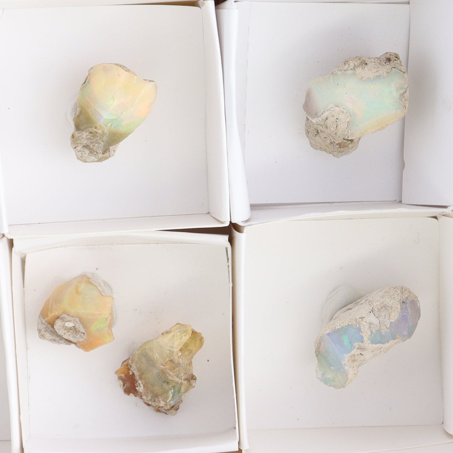 Ethiopian Opal Set of 11 - Expert Wholesale and Supplier of Wholesale Crystals & Bulk Gemstones, ["Ethiopia","ethiopian opal","Opal"]