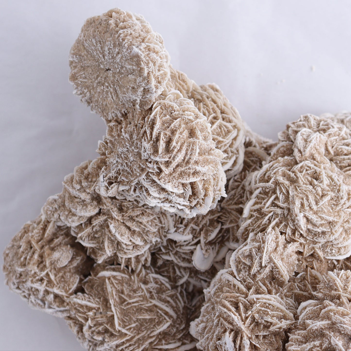 Desert Rose Cluster - Expert Wholesale and Supplier of Wholesale Crystals & Bulk Gemstones, ["Desert Rose","Freeforms"]