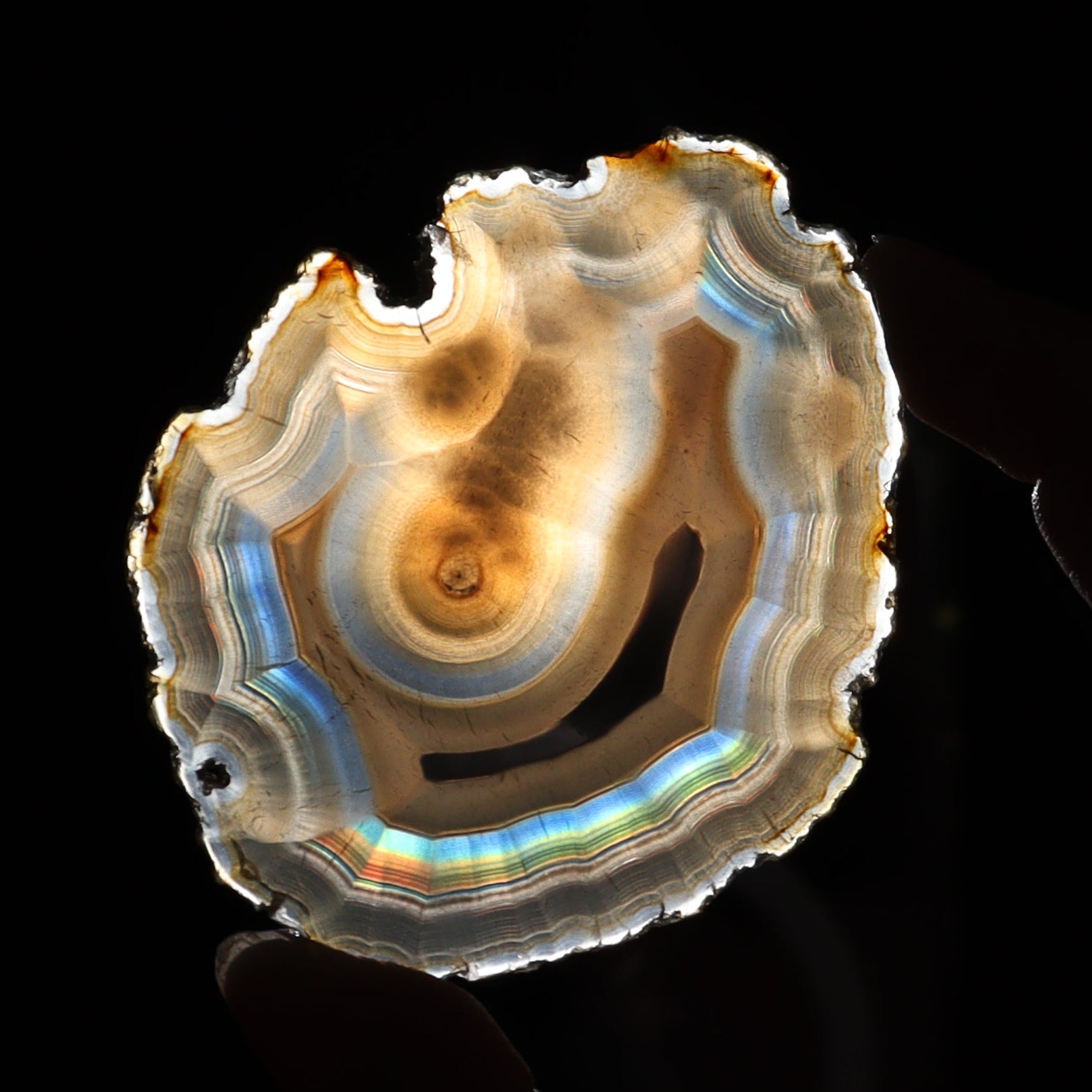 Iris Agate Slices Set of 9 - Expert Wholesale and Supplier of Wholesale Crystals & Bulk Gemstones, ["Agate","Iris Agate","Slices and Slabs"]