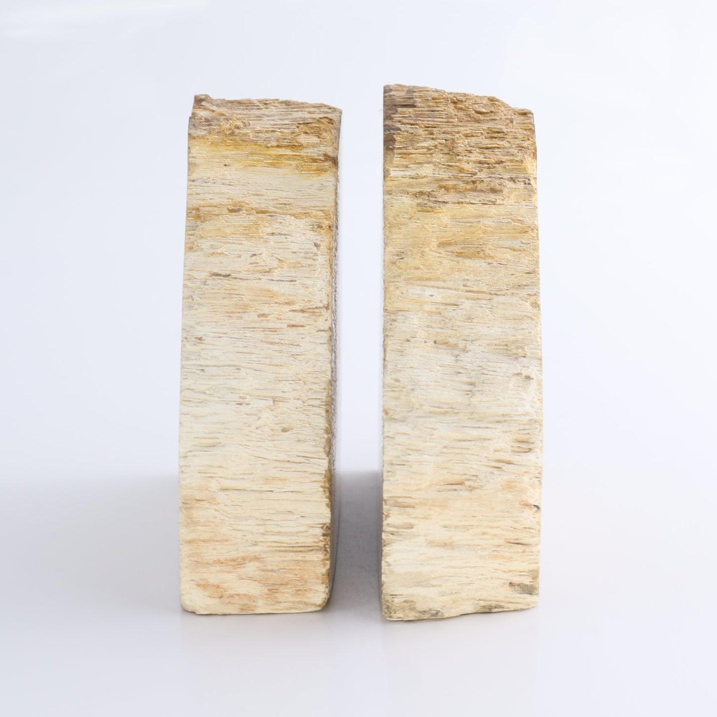 One Pair of Petrified Wood Rough Bookend