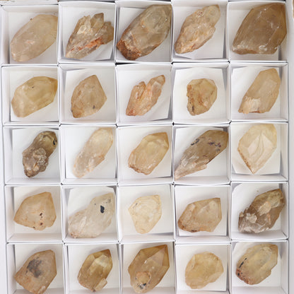 Congo Citrine Set of 35