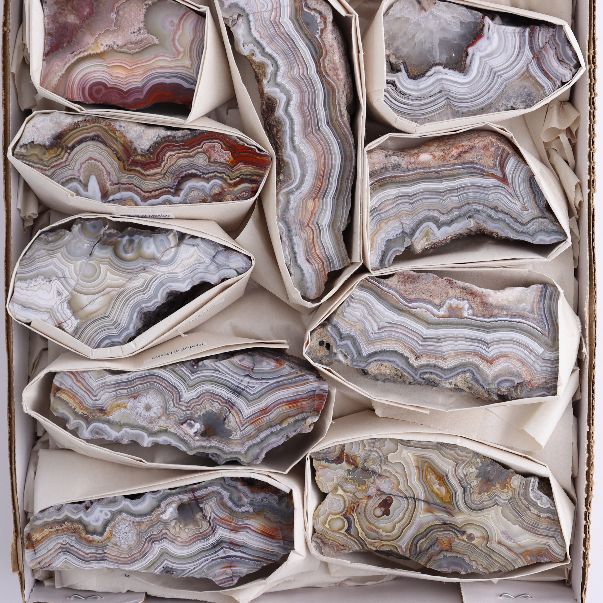 Crazy Lace Agate Flat of 12 - Expert Wholesale and Supplier of Wholesale Crystals & Bulk Gemstones, ["Crazy Lace Agate","Mexico"]