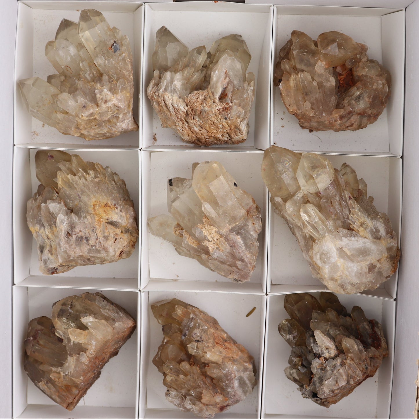 Congo Citrine Set of 12