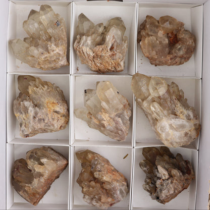 Congo Citrine Set of 12