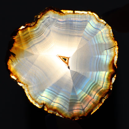 Iris Agate Slices Set of 7 - Expert Wholesale and Supplier of Wholesale Crystals & Bulk Gemstones, ["Agate","Iris Agate","Slices and Slabs"]