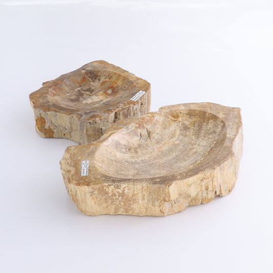 Petrified Wood Bowls Set of 2