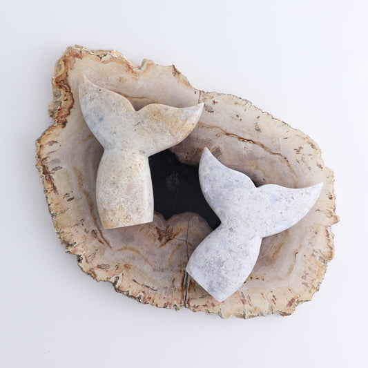 One Mermaid Tail Chalcedony Agate | Mi Esperanza Minerals | Supplier of Crystals and Onyx