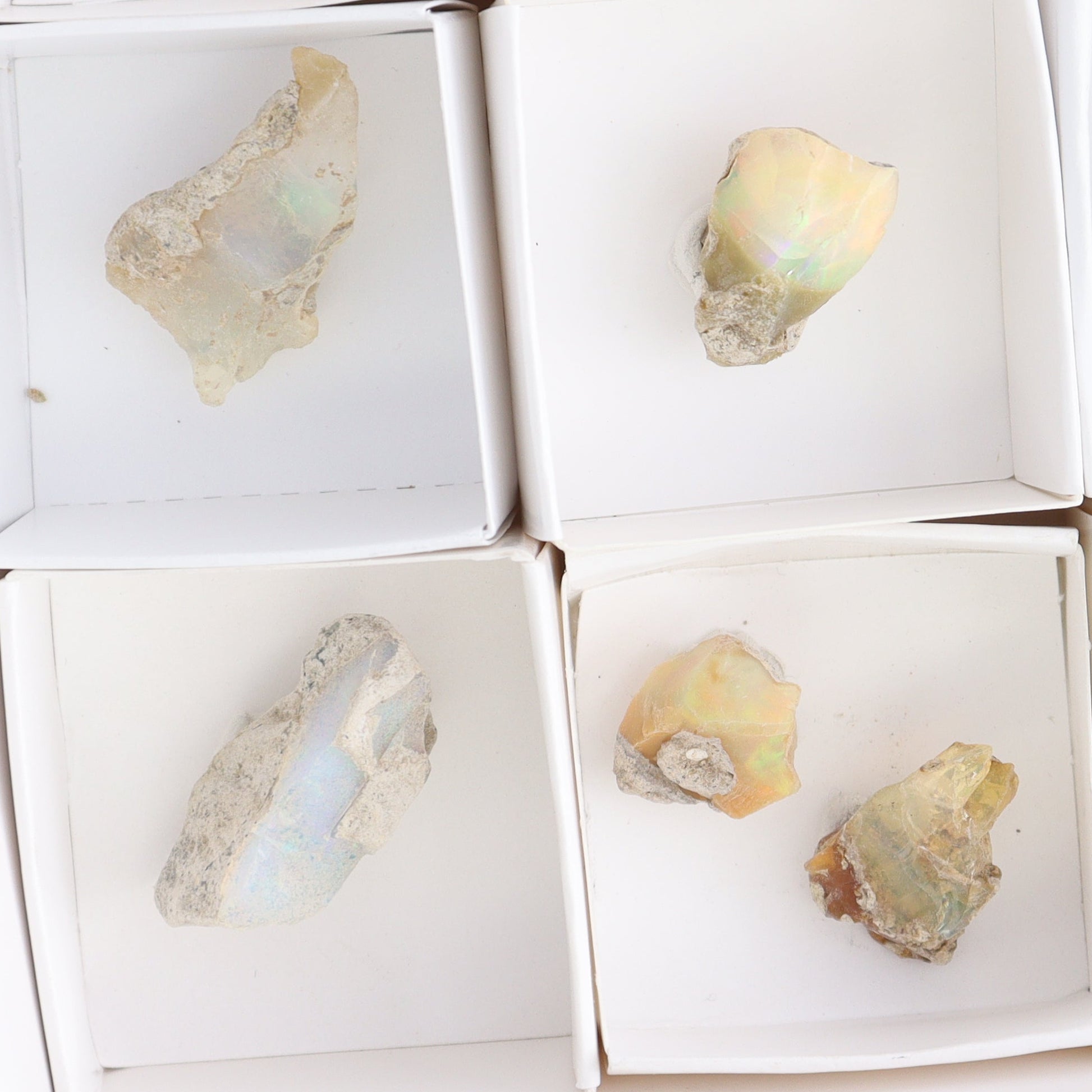 Ethiopian Opal Set of 11 - Expert Wholesale and Supplier of Wholesale Crystals & Bulk Gemstones, ["Ethiopia","ethiopian opal","Opal"]