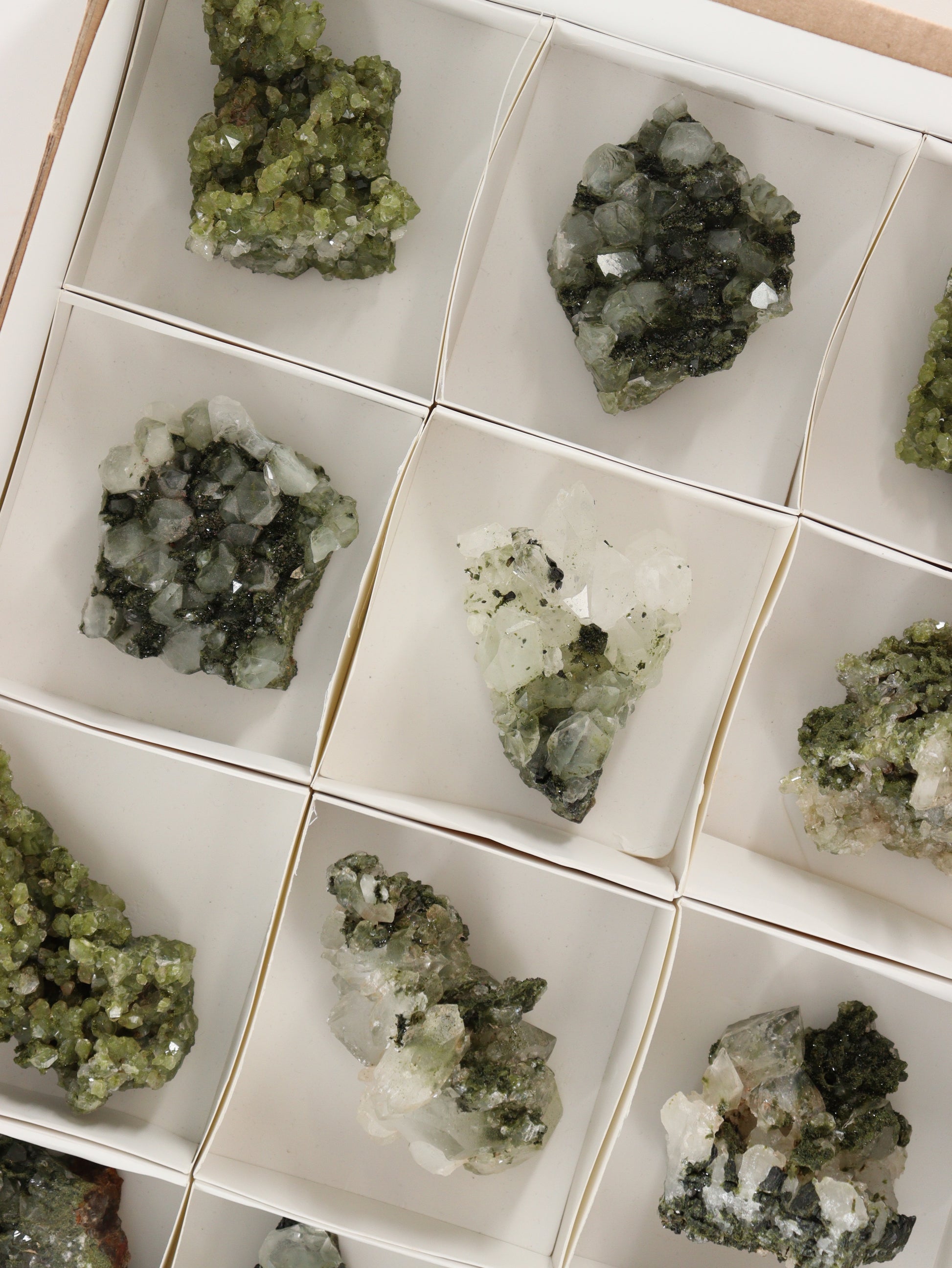 Epidote Flat Set of  12 - Expert Supplier of Wholesale Crystals & Bulk Gemstones