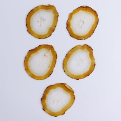 Iris Agate Slices Set of 5 - Expert Wholesale and Supplier of Wholesale Crystals & Bulk Gemstones, ["Agate","Iris Agate","Slices and Slabs"]
