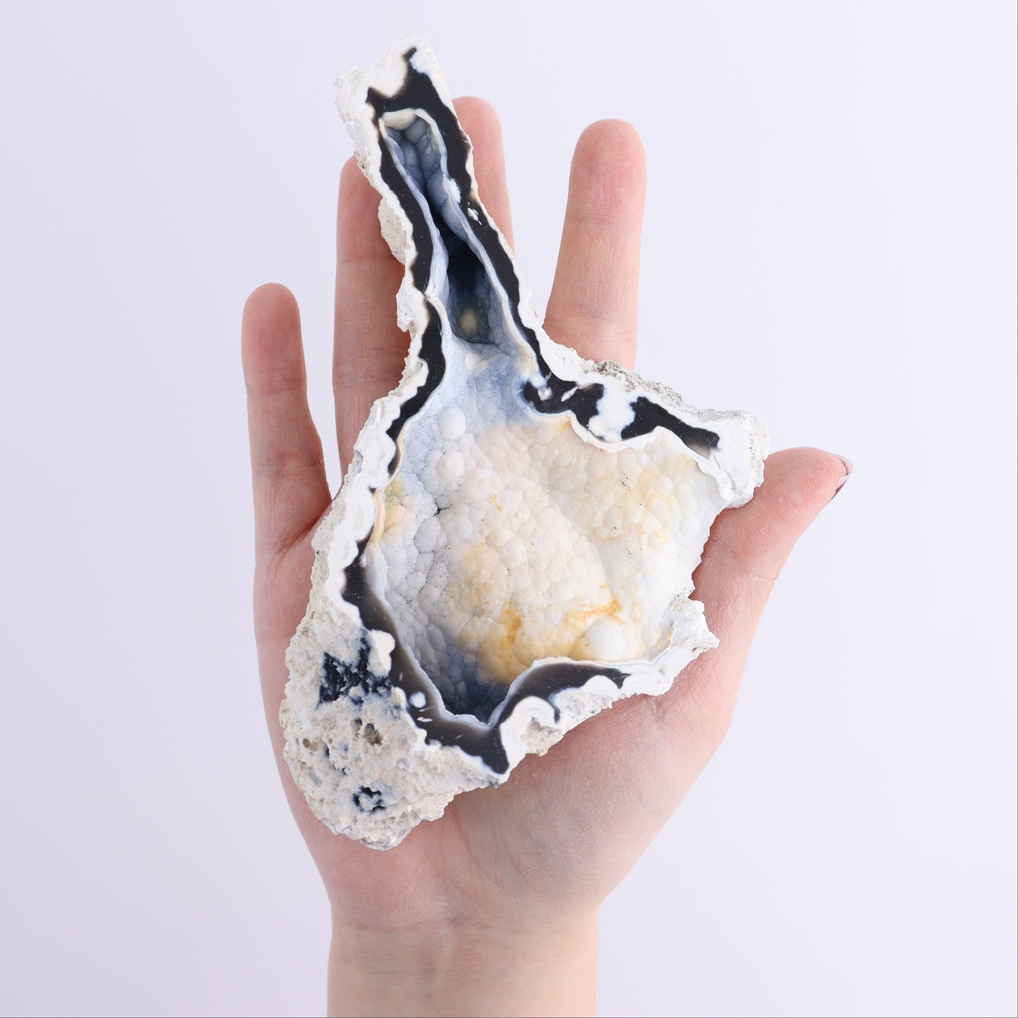 Agatized Coral Flat - Expert Wholesale and Supplier of Wholesale Crystals & Bulk Gemstones, ["Agate","Agatized Coral","Coral","United States"]