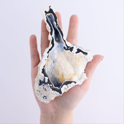 Agatized Coral Flat - Expert Wholesale and Supplier of Wholesale Crystals & Bulk Gemstones, ["Agate","Agatized Coral","Coral","United States"]