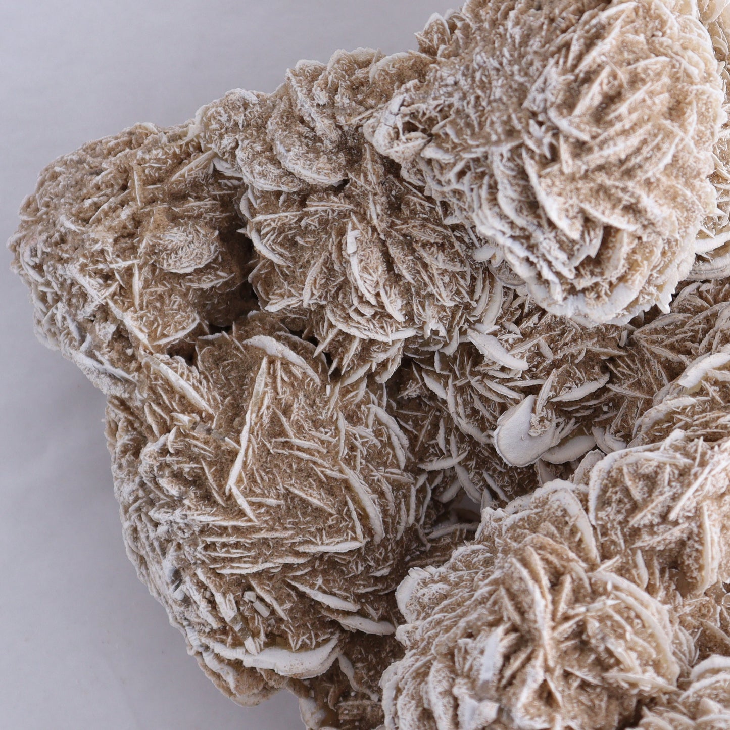 Desert Rose Cluster - Expert Wholesale and Supplier of Wholesale Crystals & Bulk Gemstones, ["Desert Rose","Freeforms"]