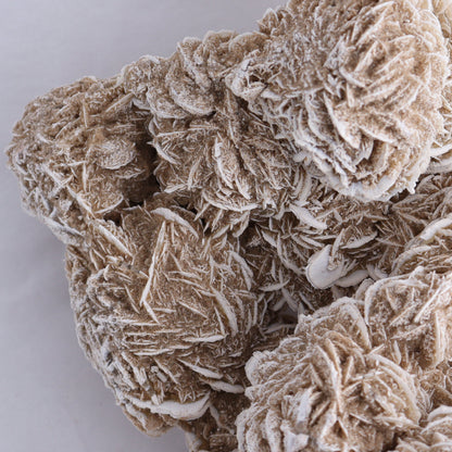 Desert Rose Cluster - Expert Wholesale and Supplier of Wholesale Crystals & Bulk Gemstones, ["Desert Rose","Freeforms"]