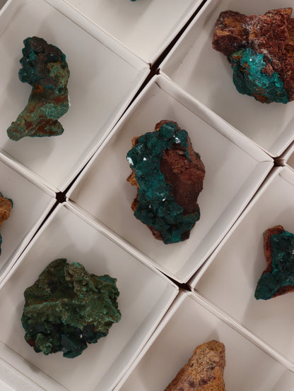 Dioptase Flat Set of 12