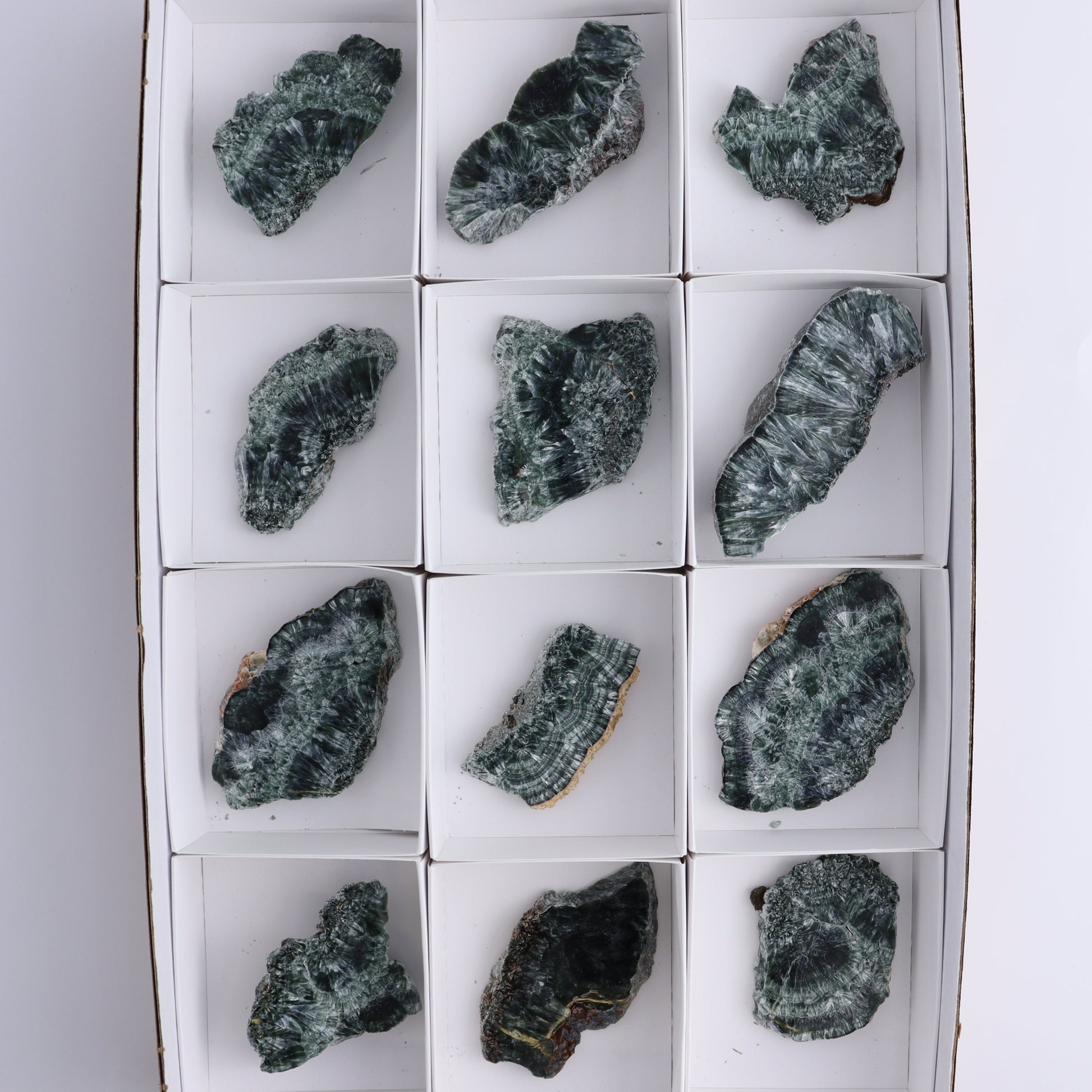 Seraphinite Slices Set of 12 - Expert Wholesale and Supplier of Wholesale Crystals & Bulk Gemstones, ["Seraphinite","Slices and Slabs"]