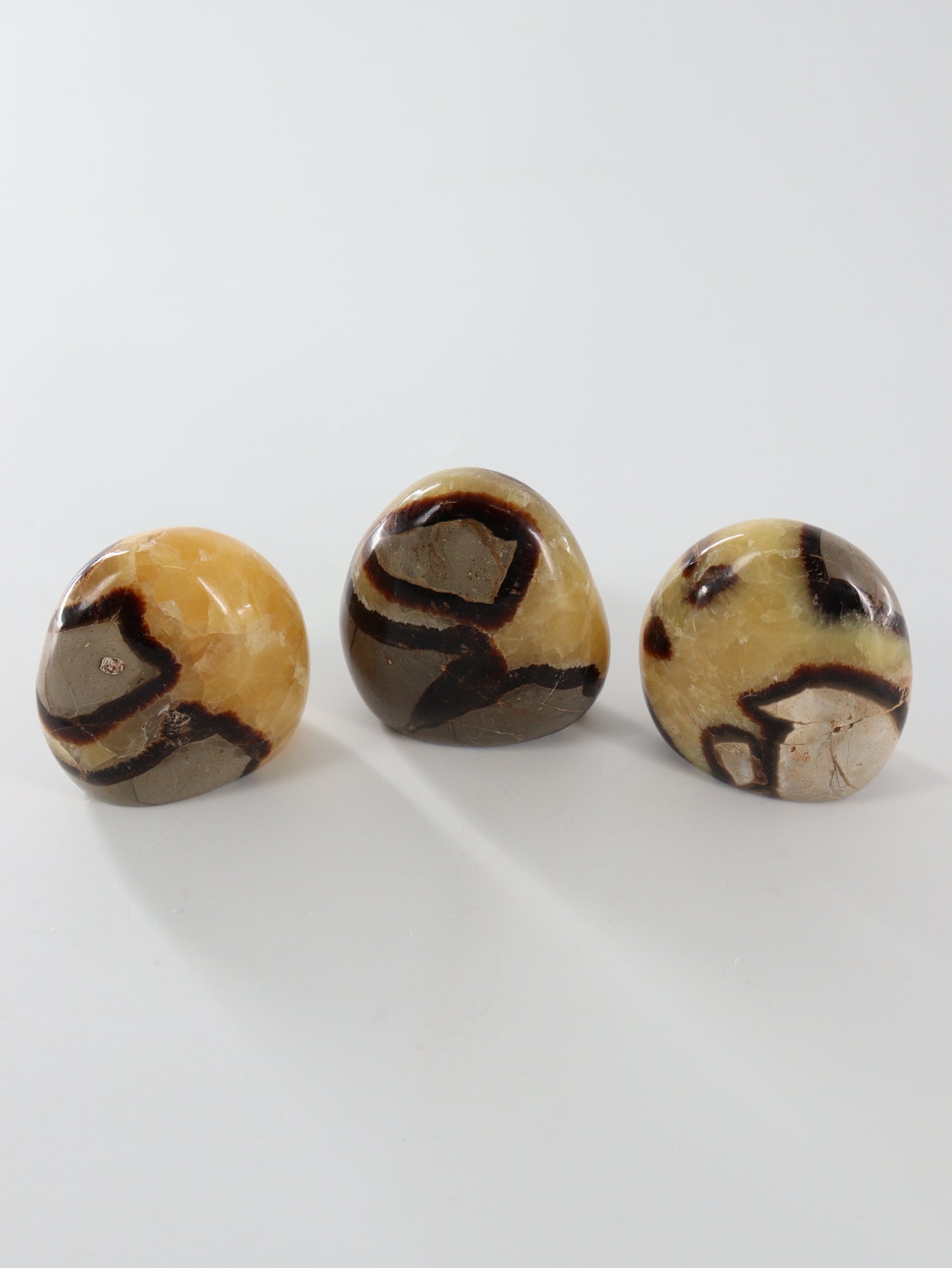 Sepatarian Freeforms Set of 12 - Expert Wholesale and Supplier of Wholesale Crystals & Bulk Gemstones, []