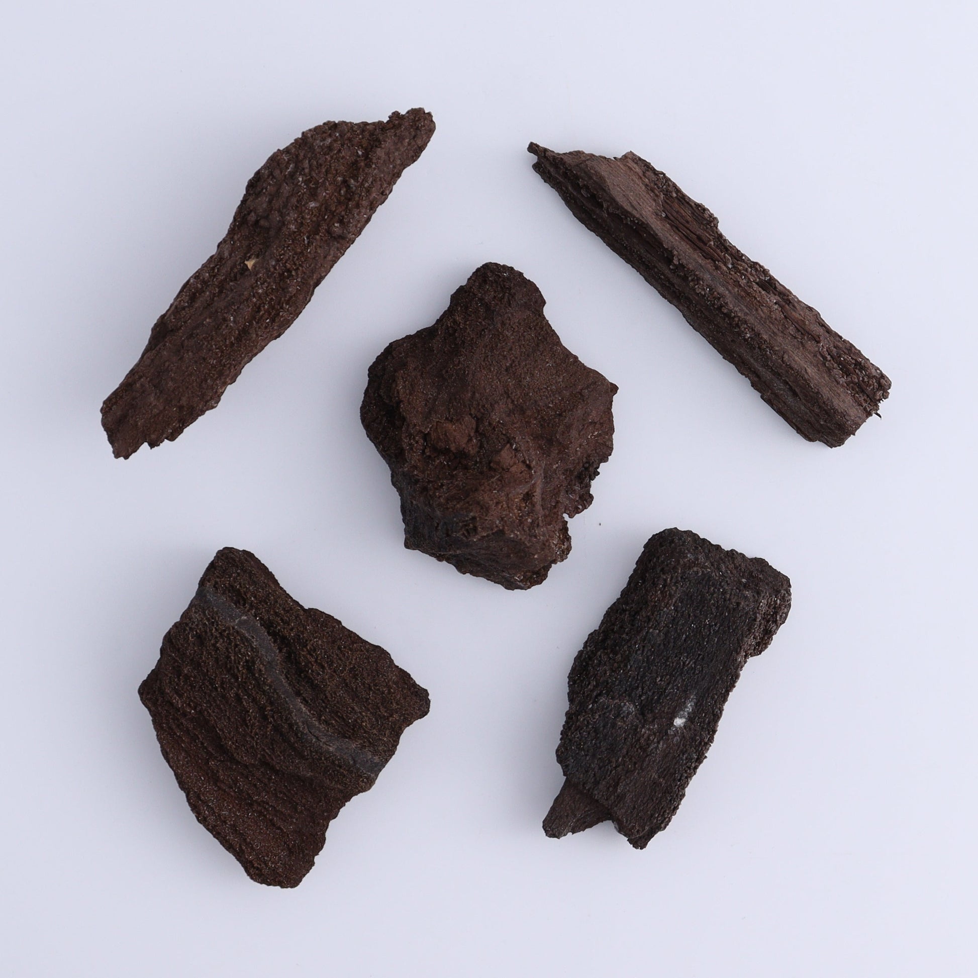 Permineralized Wood Flat of 24 - Expert Wholesale and Supplier of Wholesale Crystals & Bulk Gemstones, ["Flats","Germany","Permineralized Wood"]