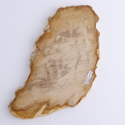 Petrified Wood Slices & Slabs Set of 3 - Expert Wholesale and Supplier of Wholesale Crystals & Bulk Gemstones, ["Freeforms","Indonesia","Petrified Wood","Slices and Slabs"]