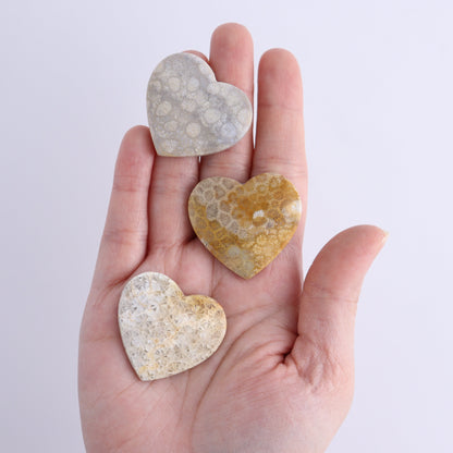 One Fossil Coral Heart Cab - Expert Wholesale and Supplier of Wholesale Crystals & Bulk Gemstones, ["Cabs","fossil coral","heart","Hearts"]