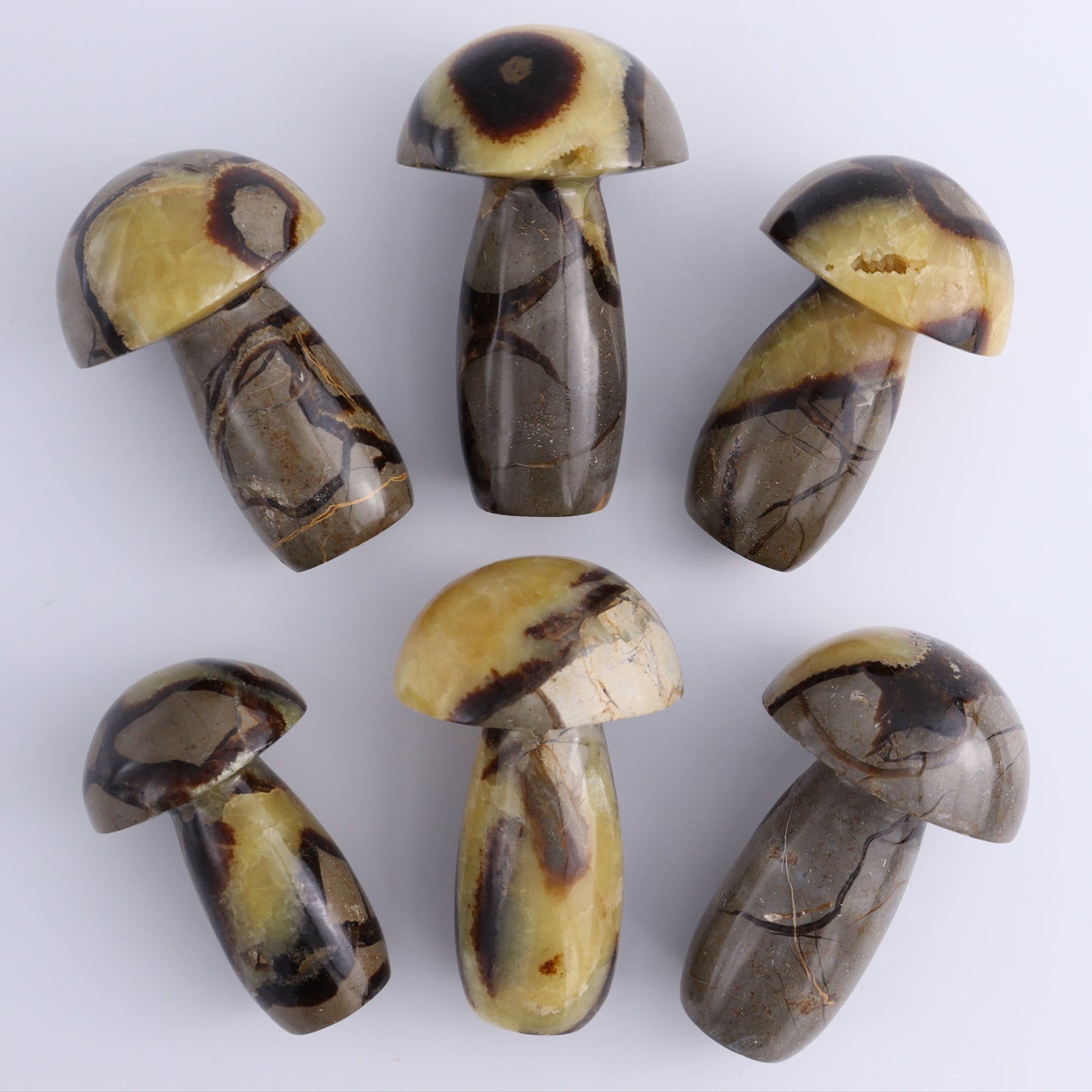 Septarian Mushrooms Set of 6 - Expert Wholesale and Supplier of Wholesale Crystals & Bulk Gemstones, ["Mushrooms","Septarian"]