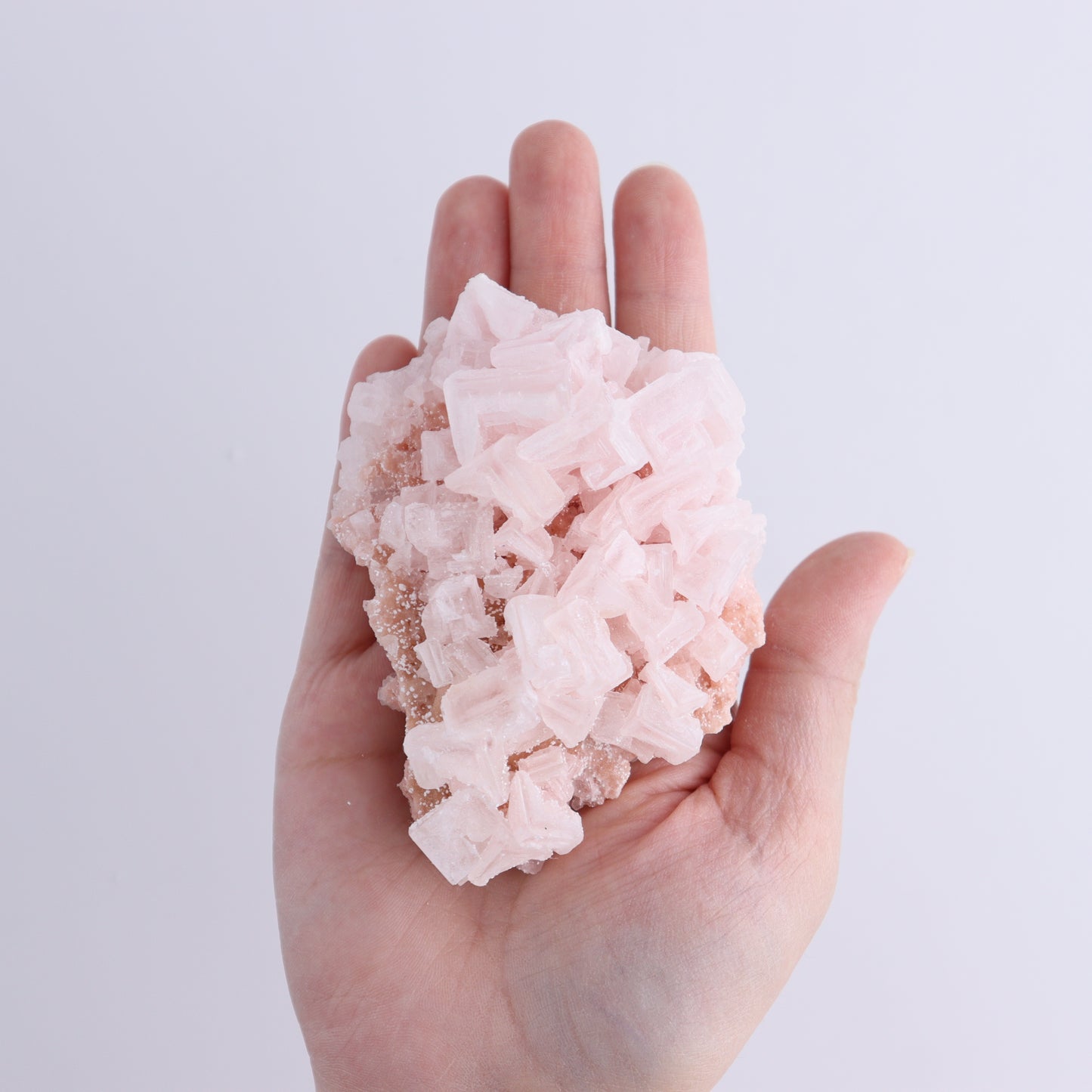 Searles Lake Halite Flat of 6 - Expert Wholesale and Supplier of Wholesale Crystals & Bulk Gemstones, ["Flats","Halite","United States"]