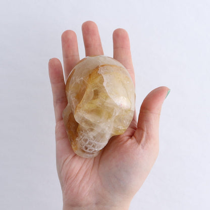 Golden Healer Skulls Set of 4