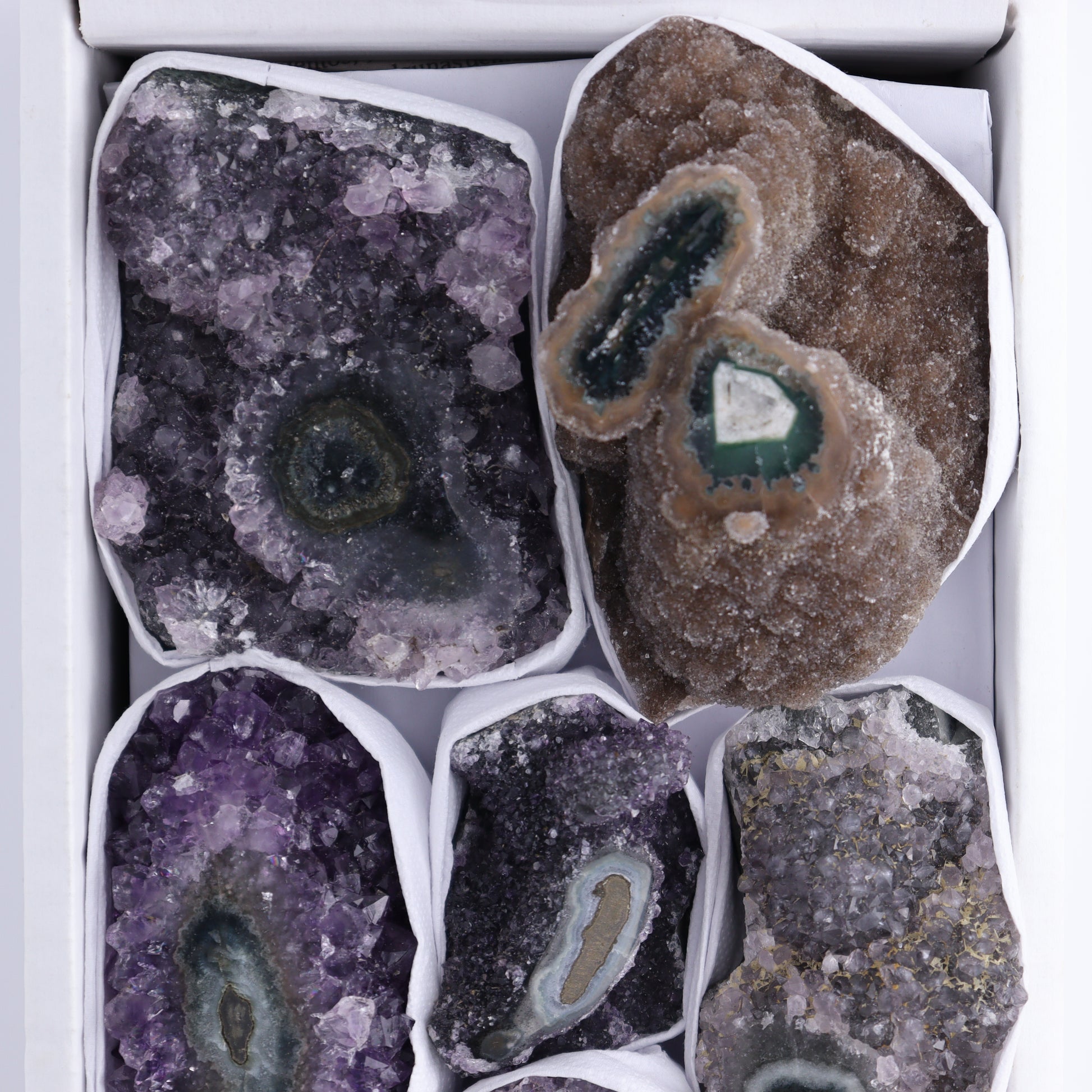 Uruguay Amethyst Clusters with "Eyes" Flat of 8 - Expert Wholesale and Supplier of Wholesale Crystals & Bulk Gemstones, []