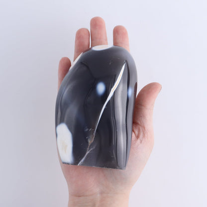 Orca Agate Freeform Set of 4
