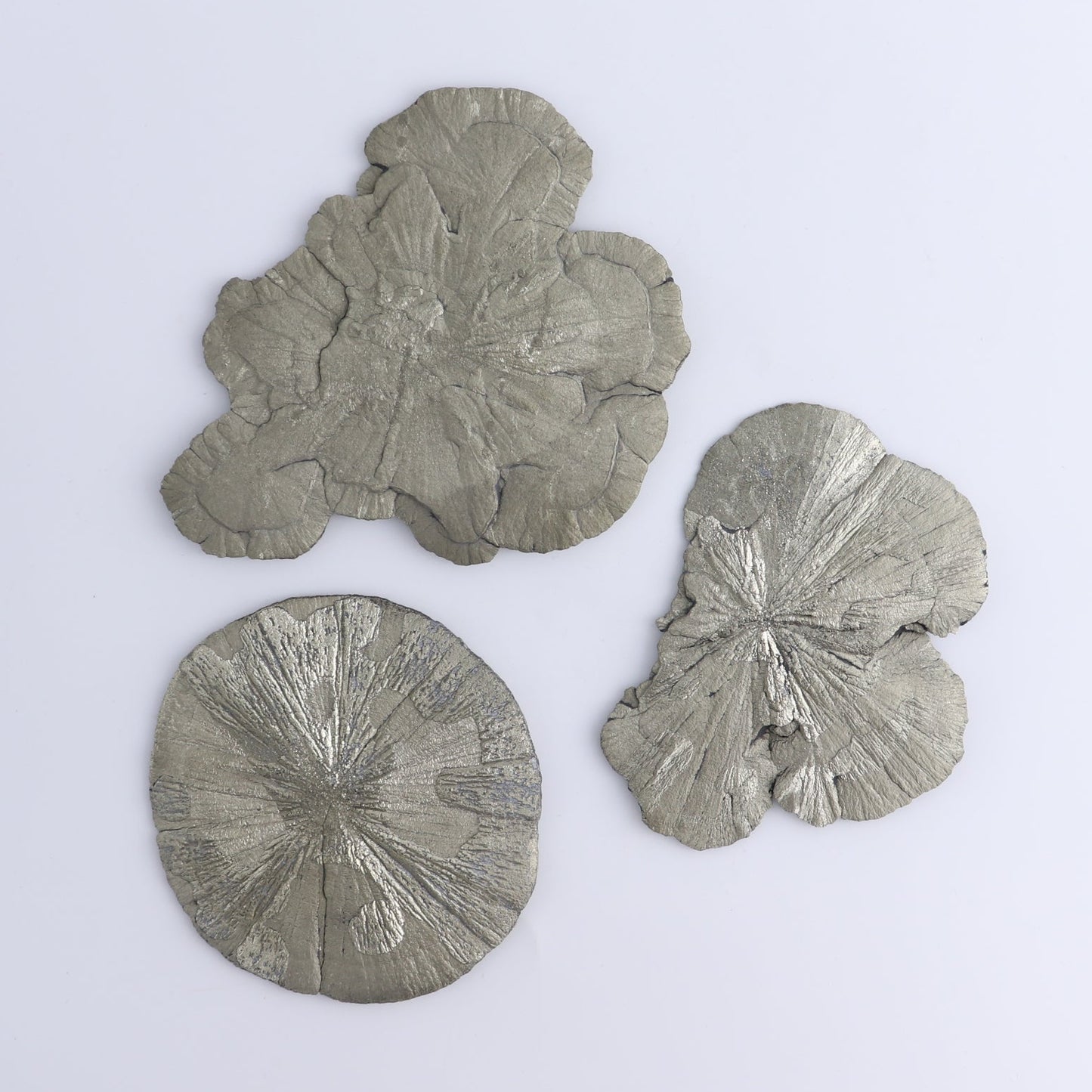 Pyrite Suns Set of 3