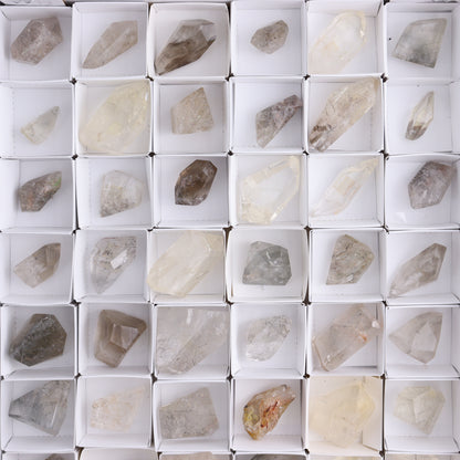 Quartz with Inclusions Feeforms Set of 54