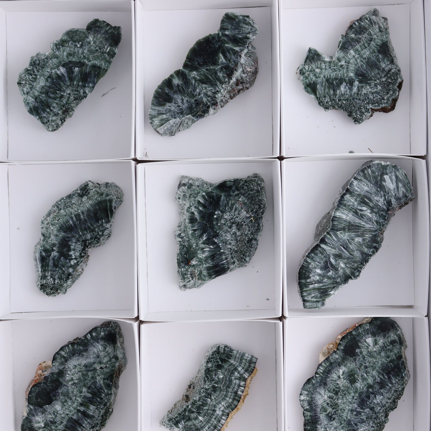 Seraphinite Slices Set of 12 - Expert Wholesale and Supplier of Wholesale Crystals & Bulk Gemstones, ["Seraphinite","Slices and Slabs"]