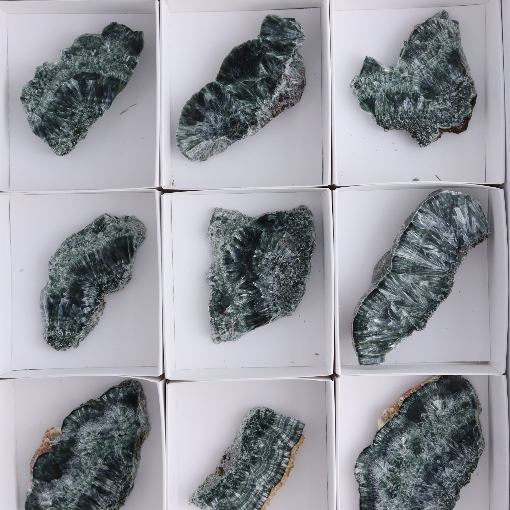 Seraphinite Slices Set of 12 - Expert Wholesale and Supplier of Wholesale Crystals & Bulk Gemstones, ["Seraphinite","Slices and Slabs"]