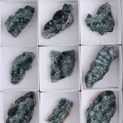 Seraphinite Slices Set of 12 - Expert Wholesale and Supplier of Wholesale Crystals & Bulk Gemstones, ["Seraphinite","Slices and Slabs"]