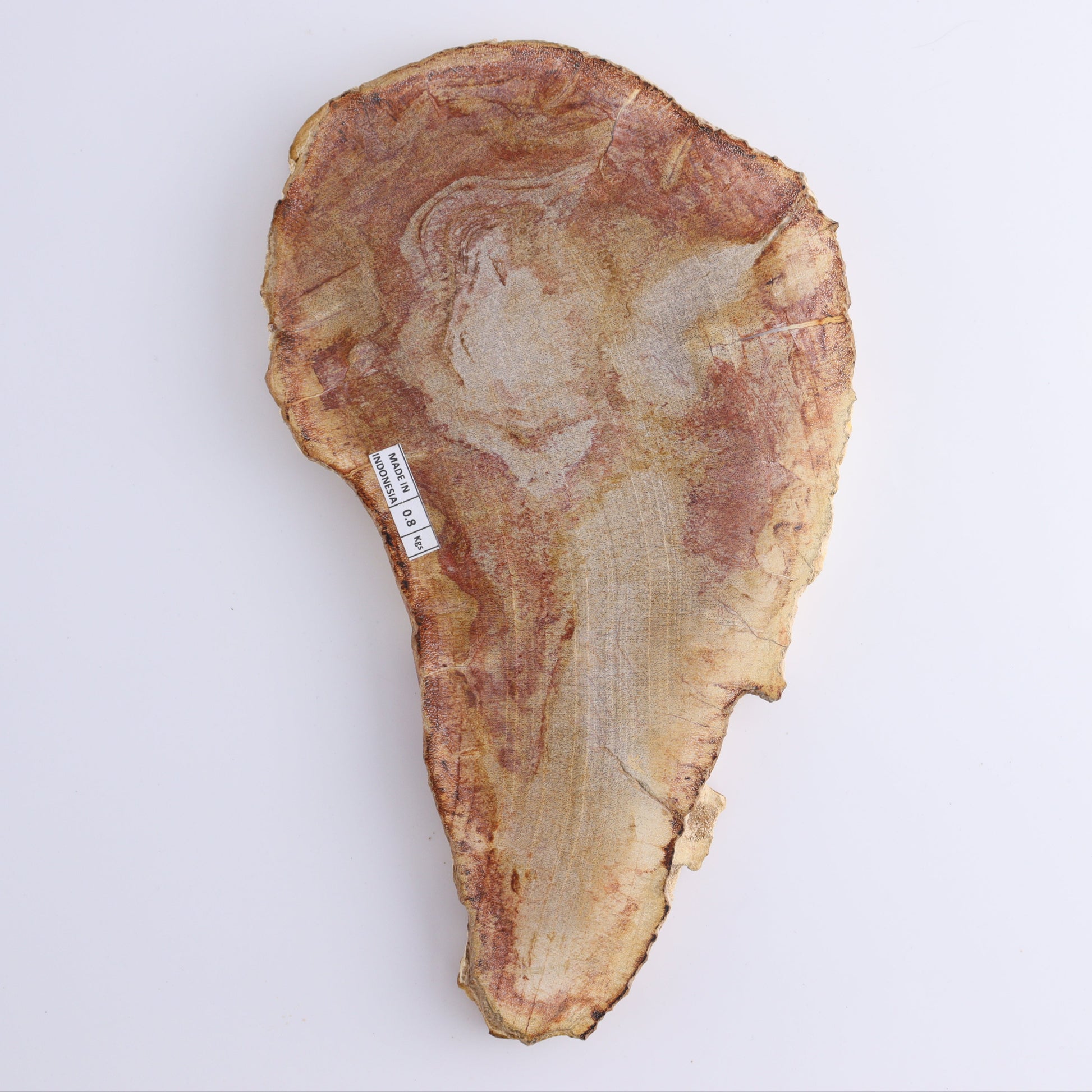 Petrified Wood Slices & Slabs Set of 3 - Expert Wholesale and Supplier of Wholesale Crystals & Bulk Gemstones, ["Freeforms","Indonesia","Petrified Wood","Slices and Slabs"]