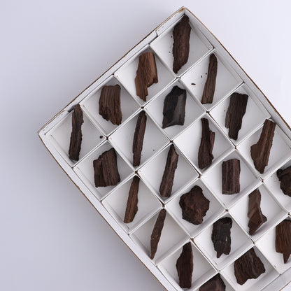 Permineralized Wood Flat of 24 - Expert Wholesale and Supplier of Wholesale Crystals & Bulk Gemstones, ["Flats","Germany","Permineralized Wood"]
